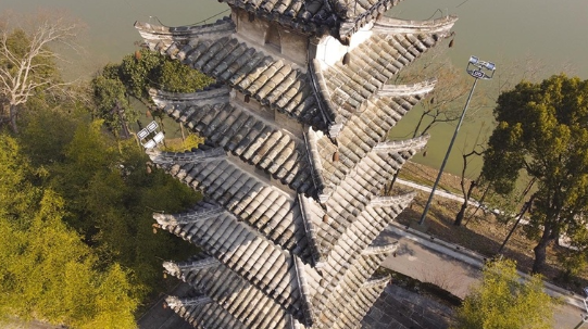 1648389148302340.png image.png