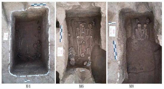 1648869195602501.png image.png