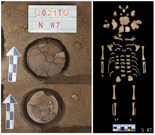 1648869222367164.png image.png