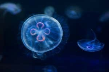 1661928981757636.png image.png