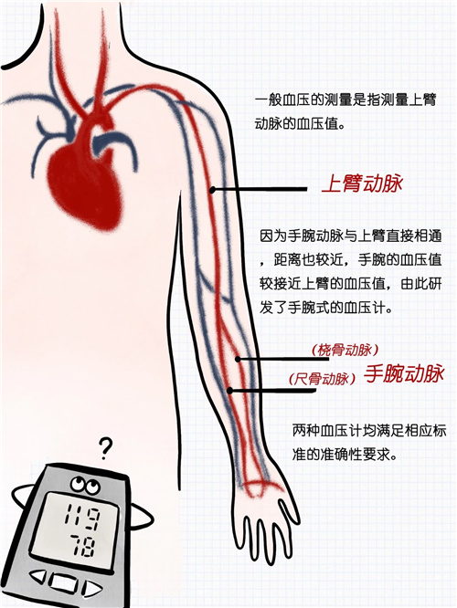 1666748321801743.jpeg 1666680335861.jpg