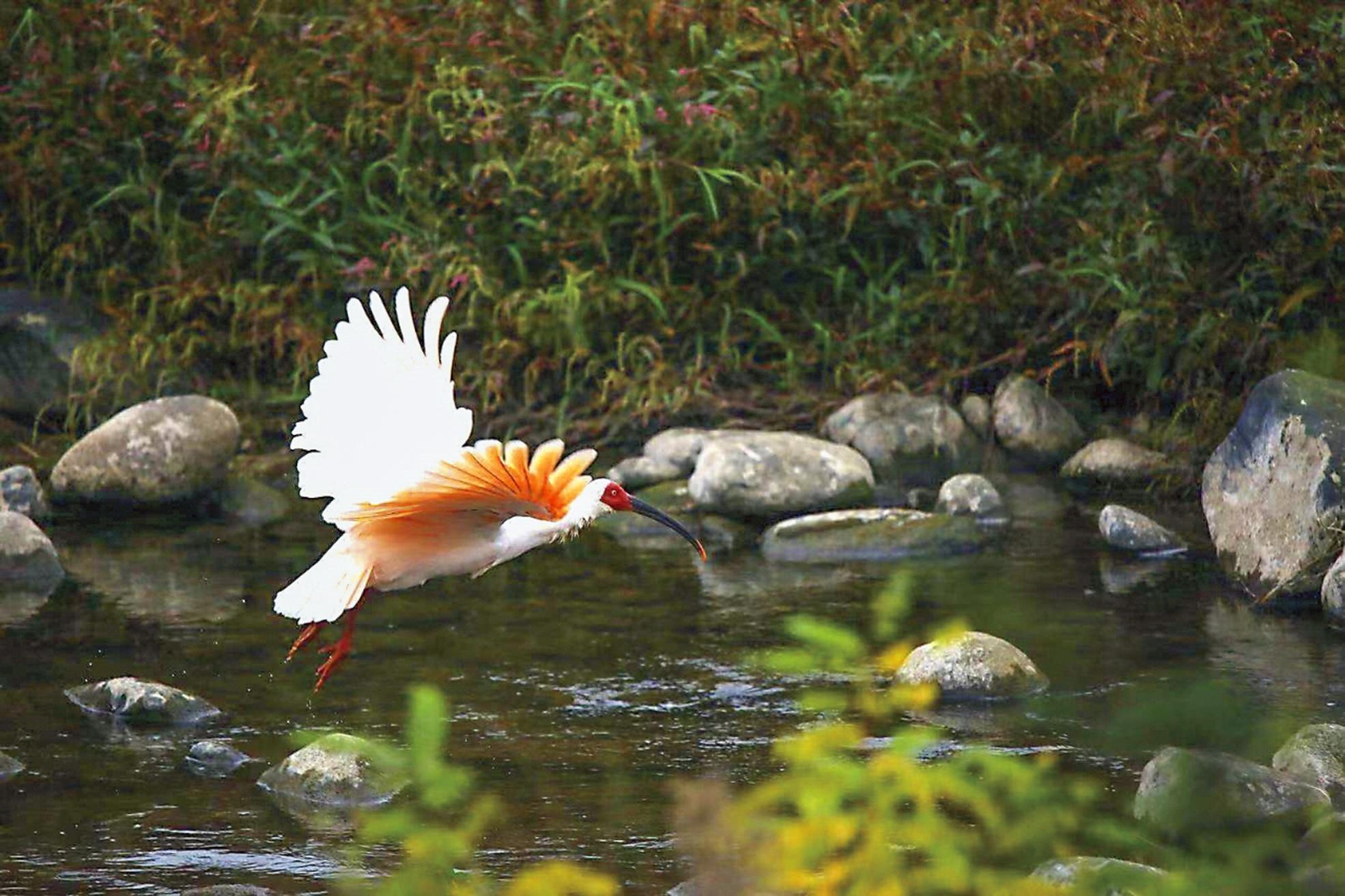 1731052045584994.jpeg 11.8文明薪火.jpg