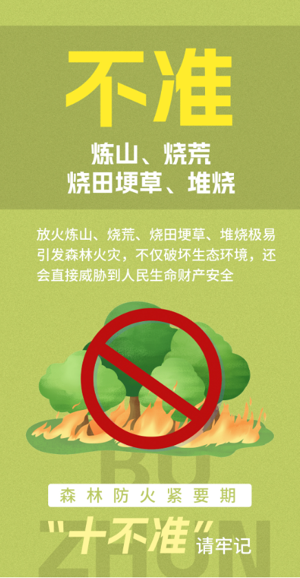 1732502130143818.png 6.png