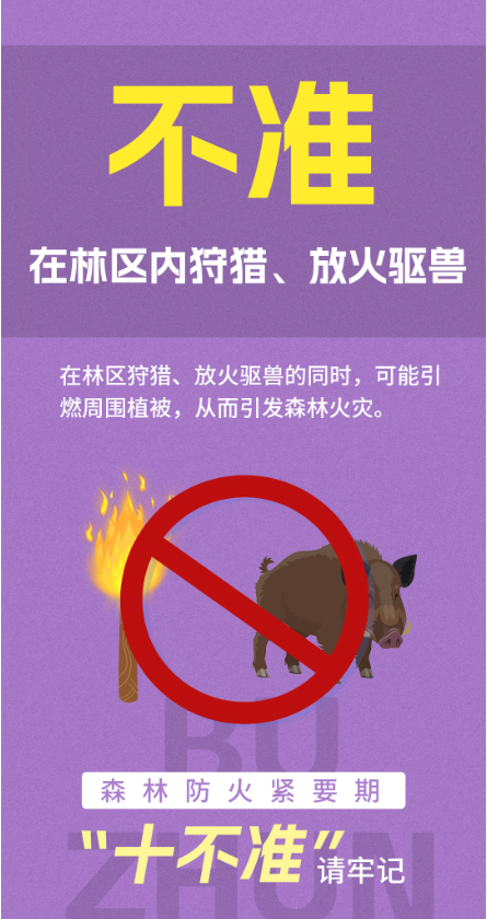 1732502164972183.png 9.png