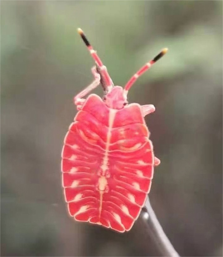 1733281462612439.png 12.4文明薪火2.png