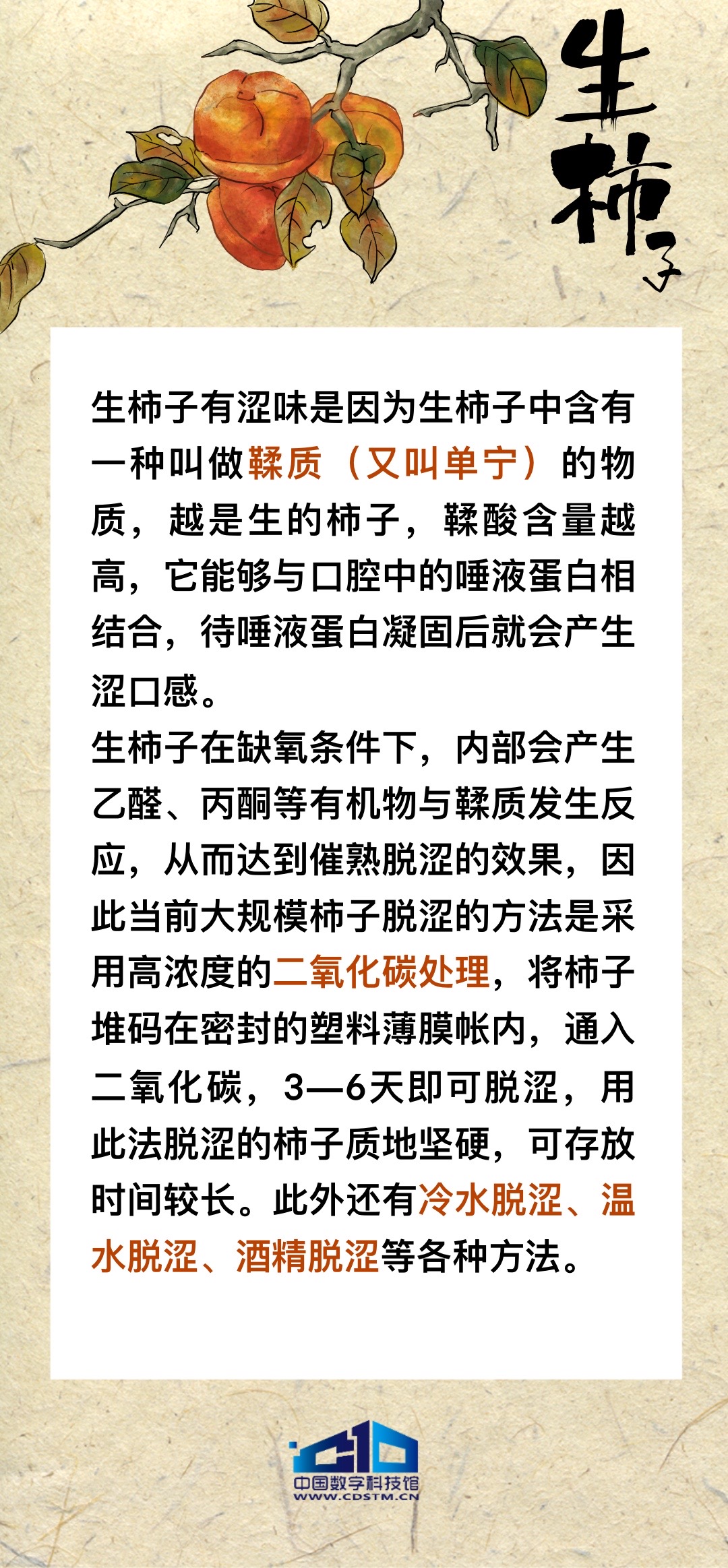 1734312662311733.jpeg 1734255624587.jpg