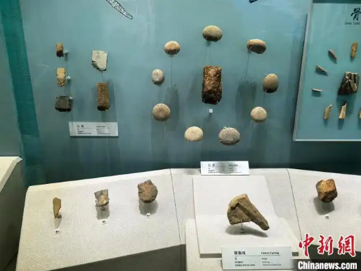 1744707393620937.png image.png