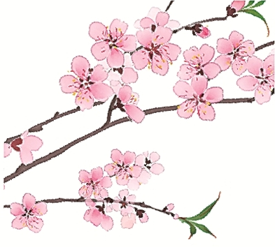 1745202434179621.png image.png