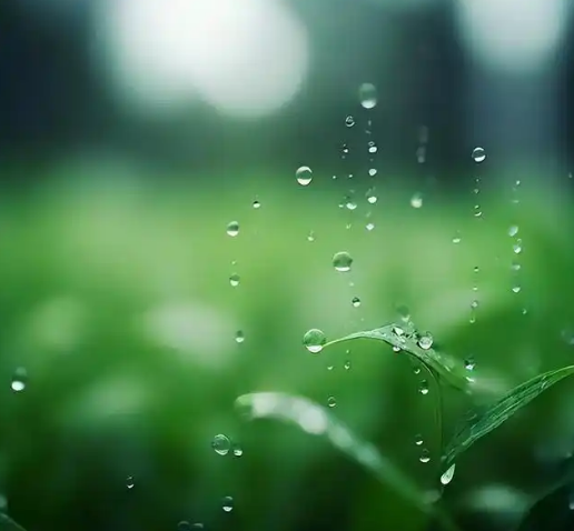 1745291218615932.png image.png