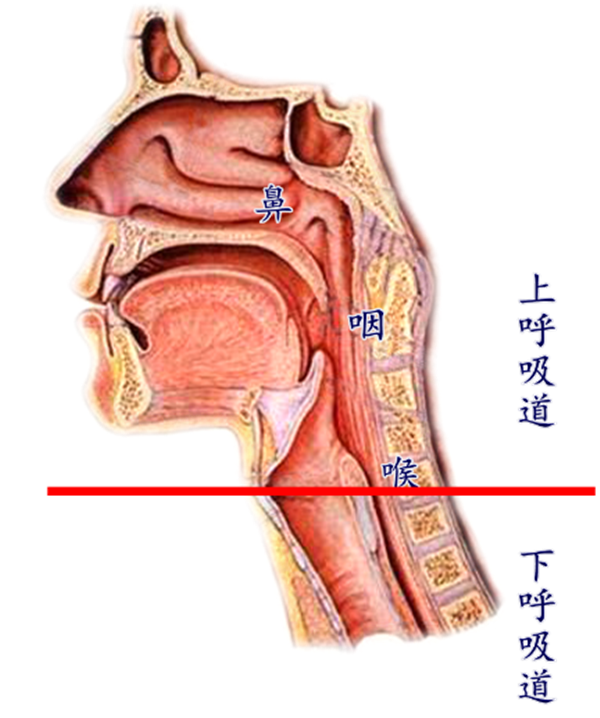 新建 DOC 文档710.png