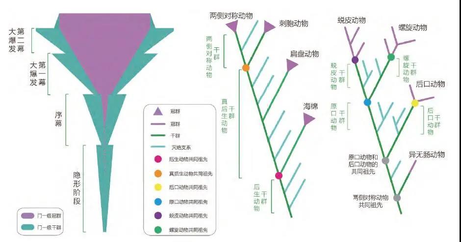 微信图片_20210412140300.jpg