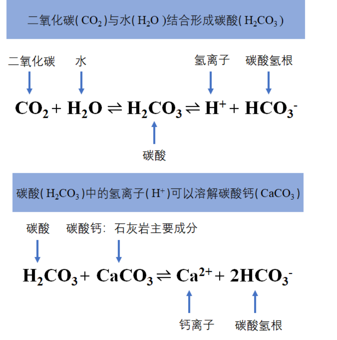 微信图片_20210709155242.png