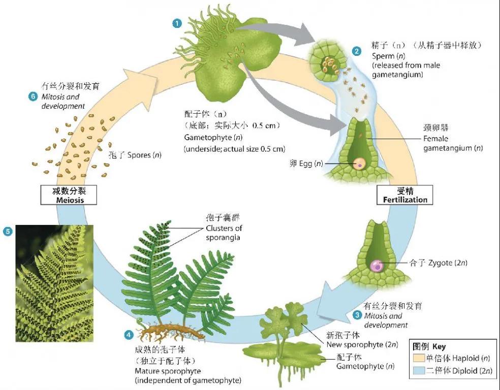 微信图片_20210802121004.jpg