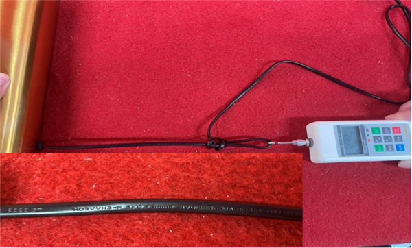 1666317630298794.png 6350cf1ee863b.png