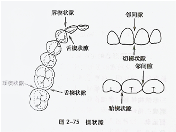 1666747903502397.png 1666681715302.png