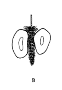 1666747945171514.png 1666681895148.png