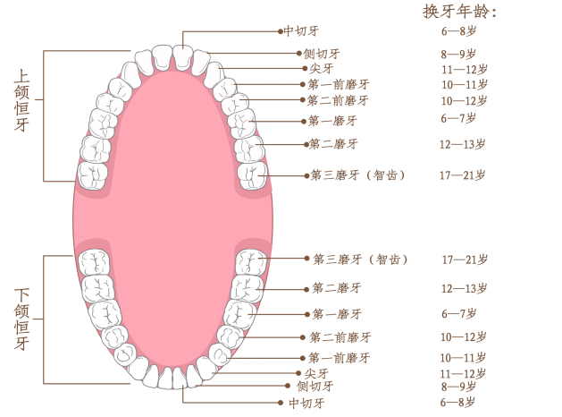 微信图片_20230421085856.png