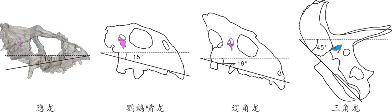 11.12文明薪火3.png