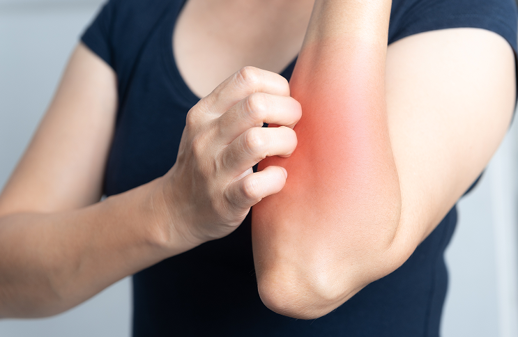 1735261629154788.png 2.png