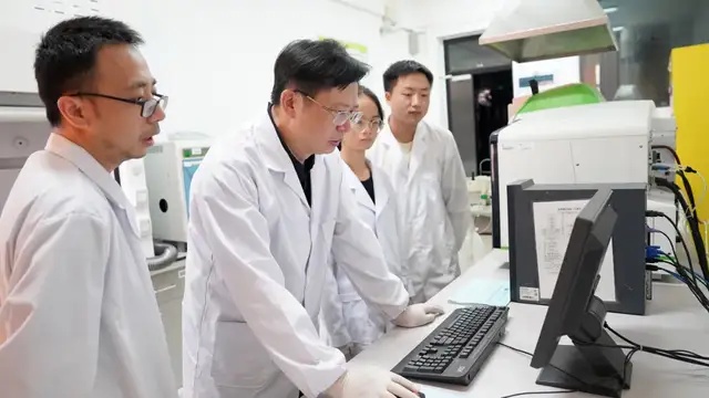 1744186927227621.jpeg 20.jpg