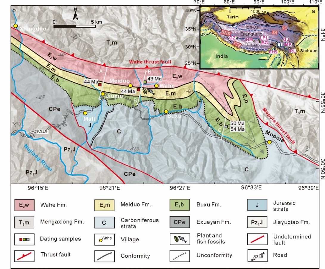 1744362335229906.jpeg 4.jpg