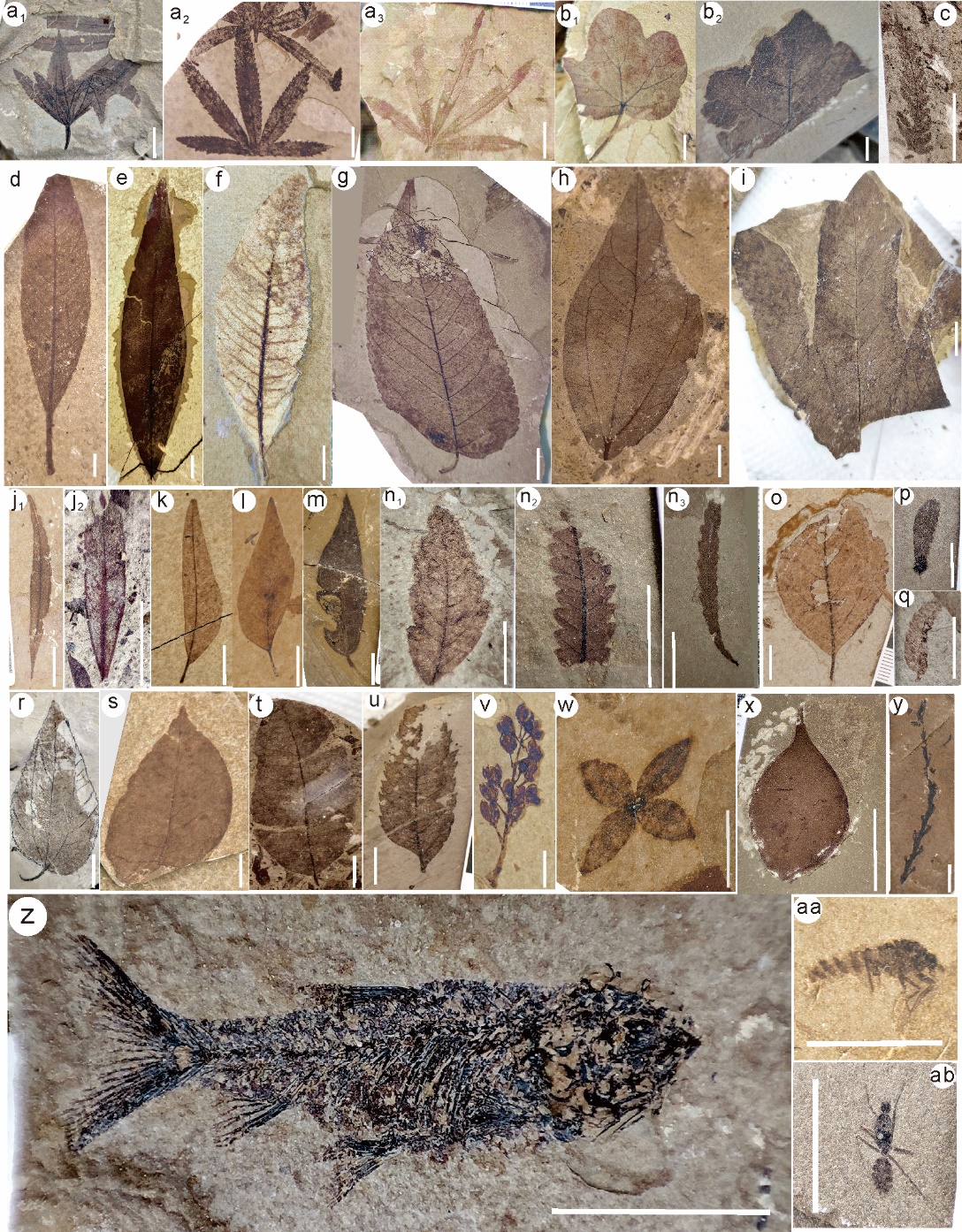 1744362347114658.jpeg 5.jpg