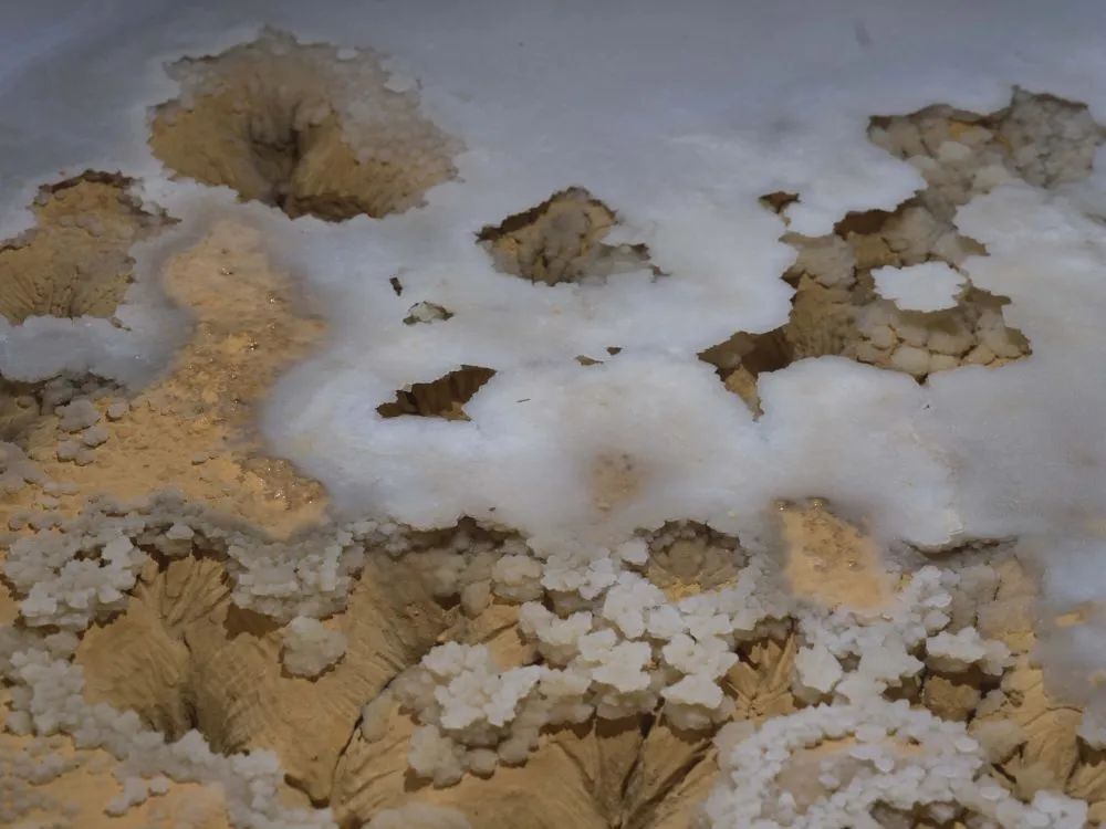 1744706867856269.jpeg 3.jpg