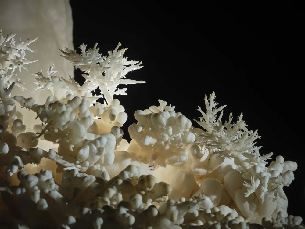 1744706909649111.jpeg 4.jpg