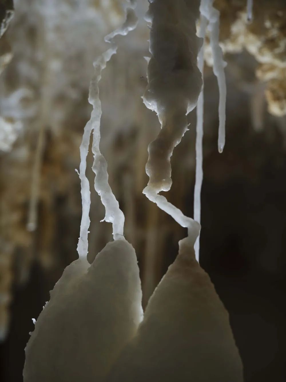 1744707018214637.jpeg 5.jpg