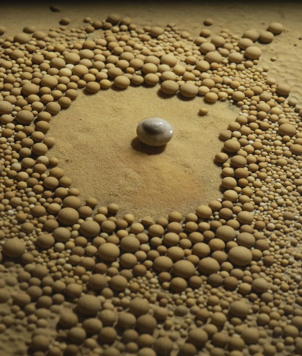 1744707125836668.jpeg 7.jpg