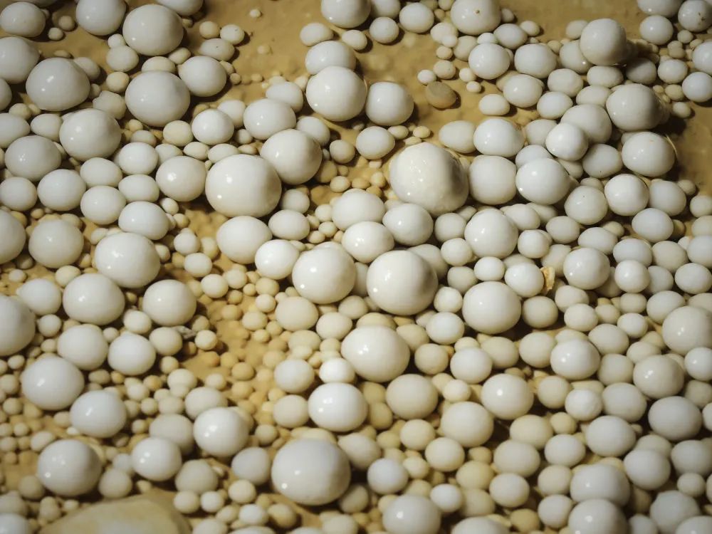 1744707160188498.jpeg 8.jpg