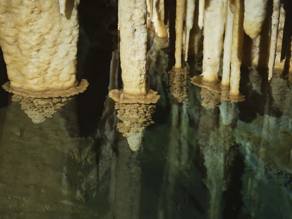 1744707322561053.jpeg 11.jpg