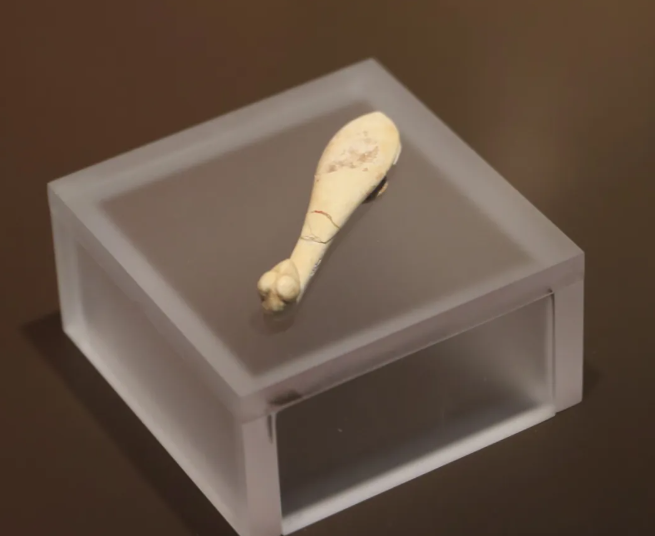 1745285805964811.png 983b864c7a3f45ad96c0d02175e97078.png