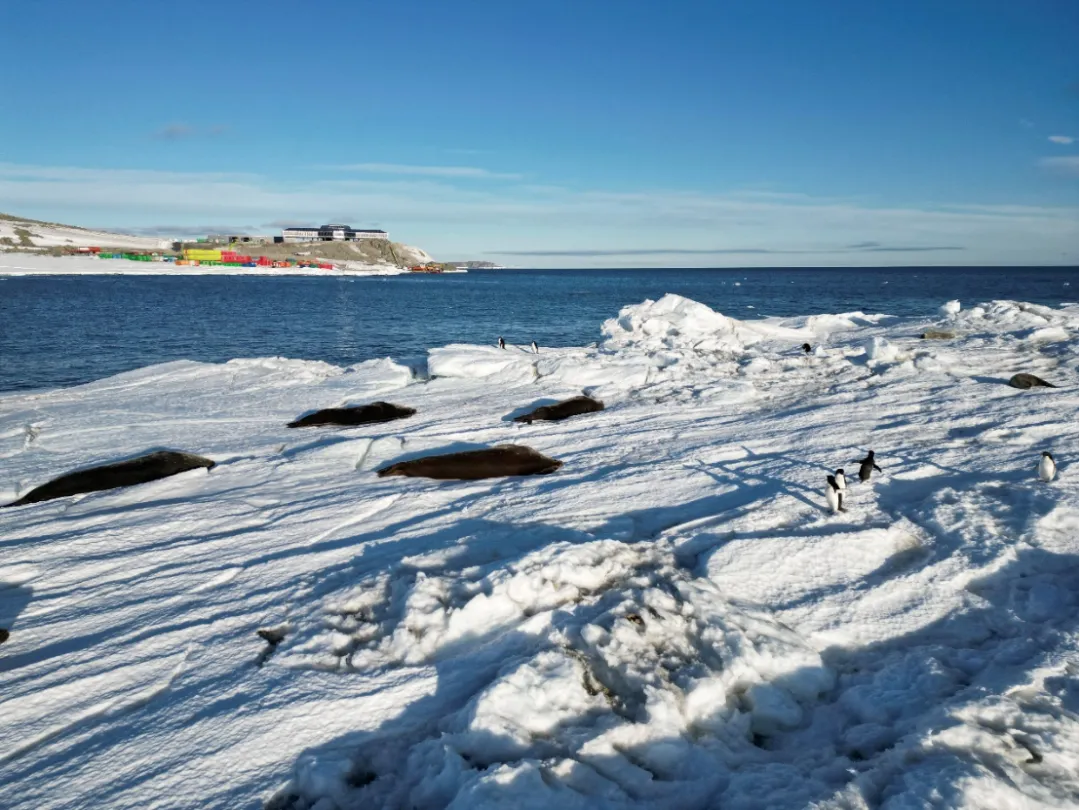 1745487588404096.png 3.png