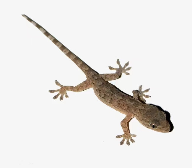 1746686775949294.png 0.png