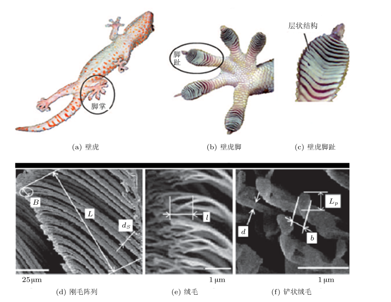 1746686796645149.png 图片1.png