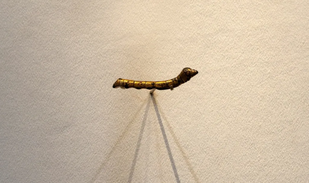 1749716850789139.png 45ea2bec900d4217983211de8281c3bc.png