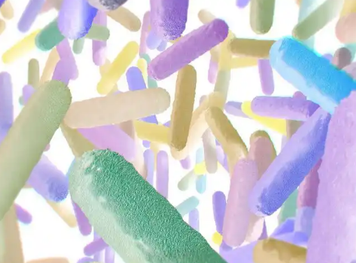 1751251205193389.png image.png